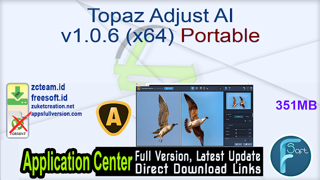 Topaz Adjust AI v1.0.6 (x64) Portable