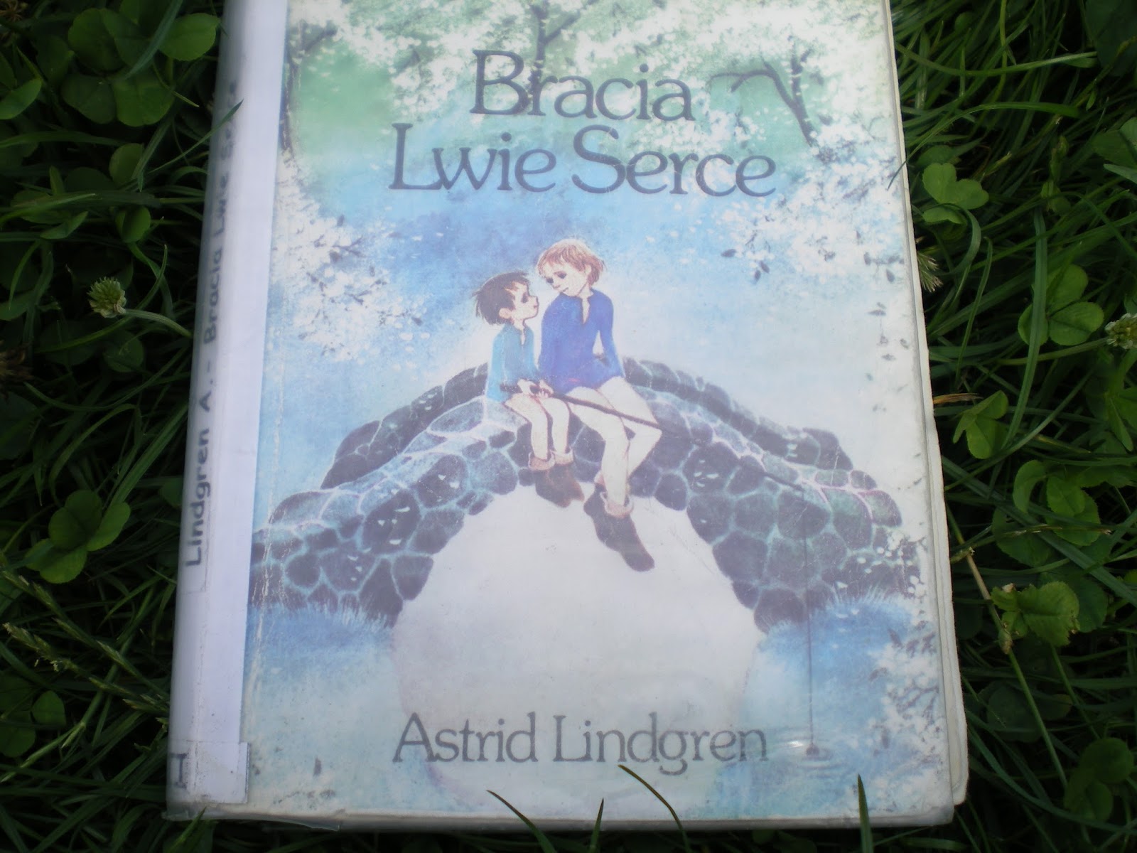 Plan Najważniejszych Wydarzeń Bracia Lwie Serce 18 Punktów Bracia Lwie Serce Plan Wydarzeń - Margaret Wiegel