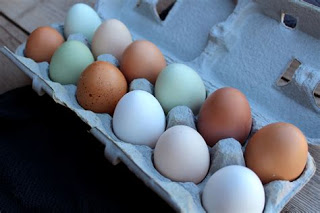 How to use up extra eggs, brilliant ways to use lots of eggs, using up farm fresh eggs, what to do with too many eggs,