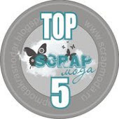 Рукодельный теремок: Тег № 9