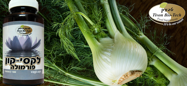 עצירות לקסי-קון טבעון