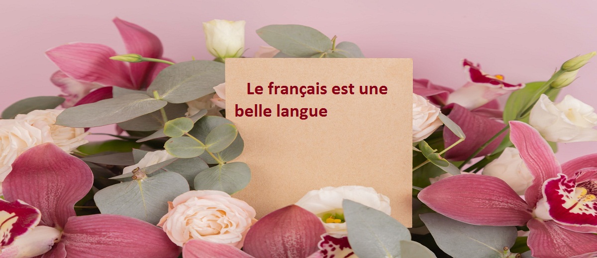 Best Foreign Language to learn for jobs