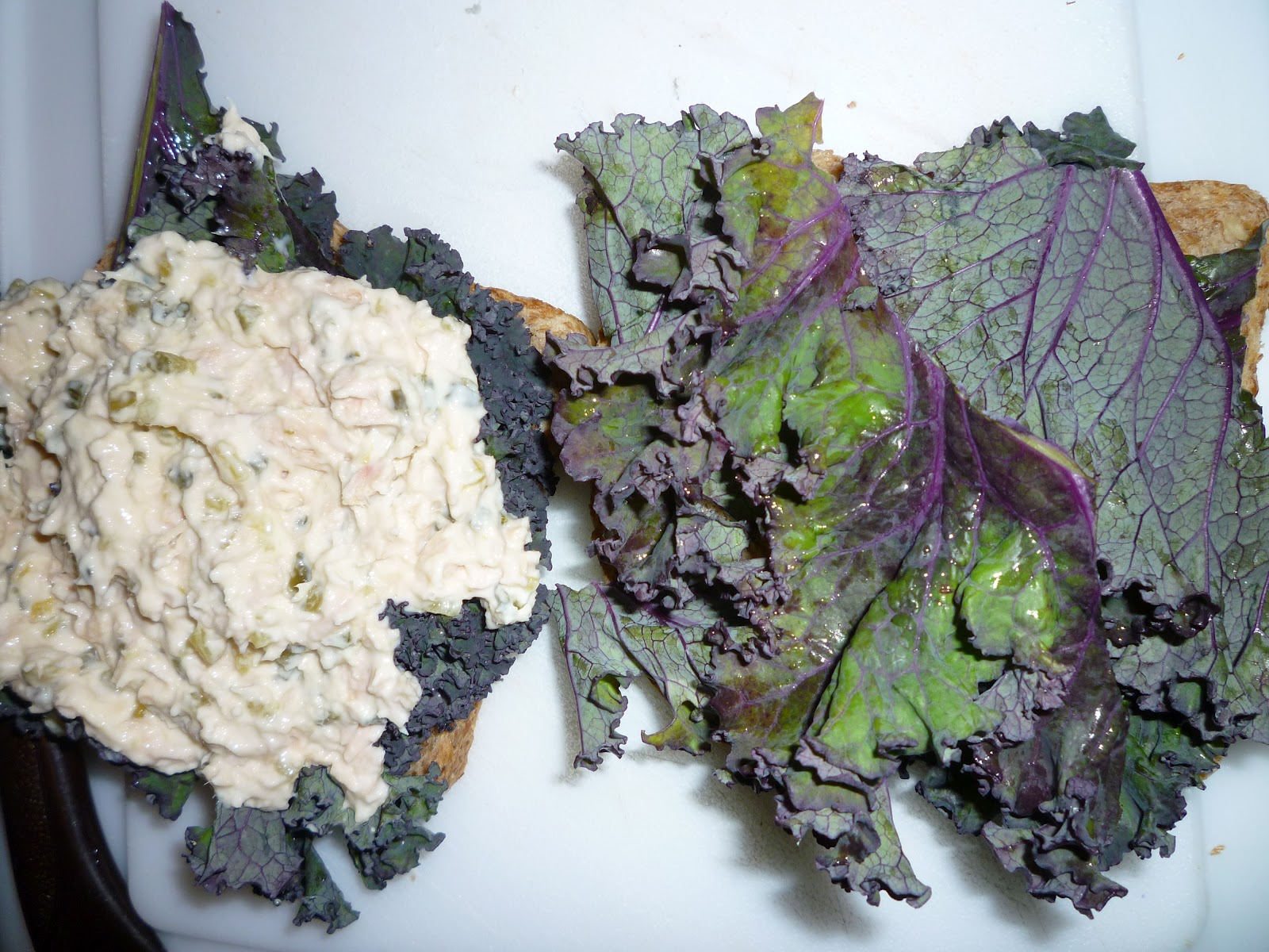 Kale Tales Tuna Kale Sandwich