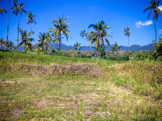 Tropical Countryside Farmland Scenery In The Clear Blue Sky Of Dry Season At Ringdikit Village North Bali Indonesia