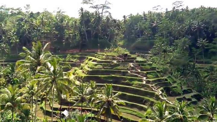 20+ Tempat Wisata di Ubud Yang Lagi Hits Dikunjungi