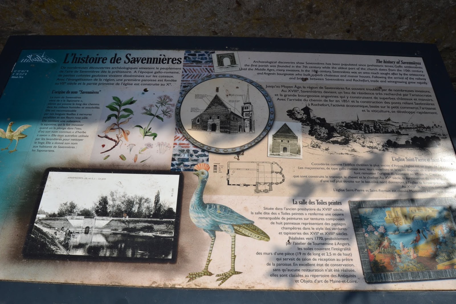 Savennières L'église St Pierre et les fabuleuses Toiles peintes du