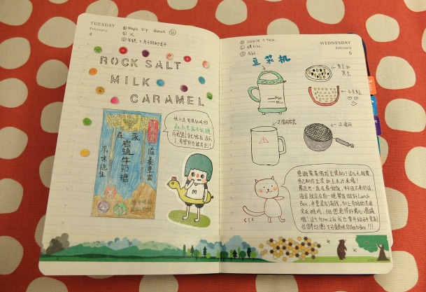 The Journal Diaries- The Hobonichi and Midori Planner collection / Seaweed Kisses
