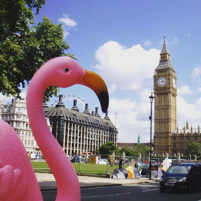 Lawn flamingo in London