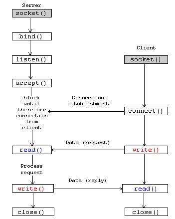 On Linux threading can be done with the pthread (posix threads) library.