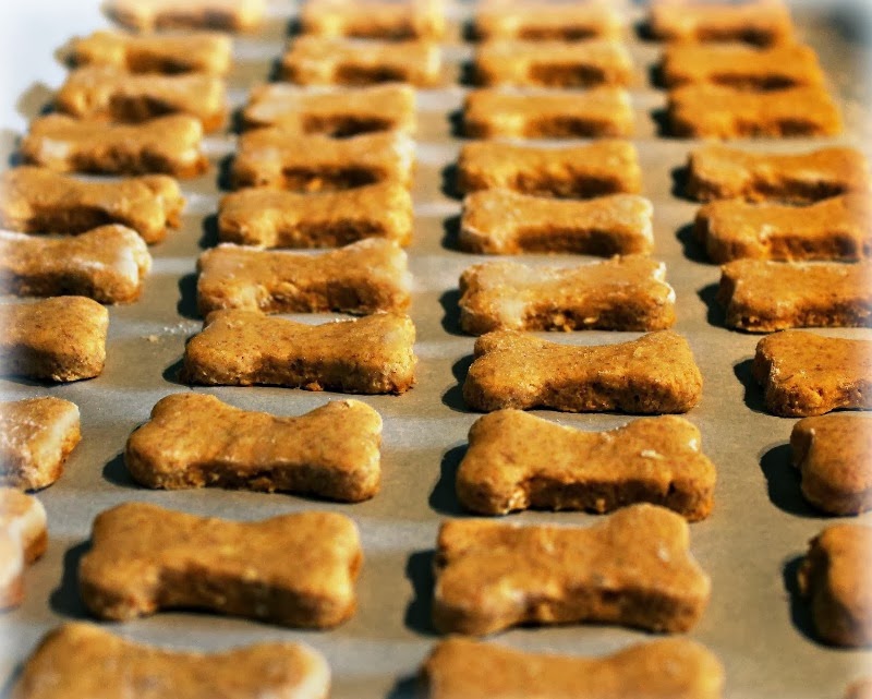 Recetas de galletas para perros, Fáciles! Seamos Mas Animales Como