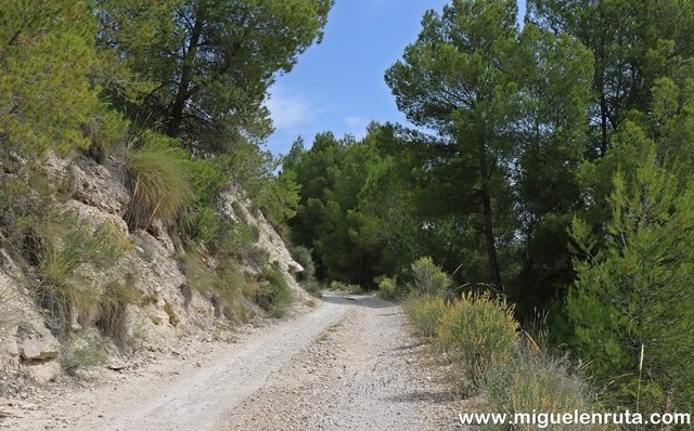 Sendero-Cañón-Almadenes