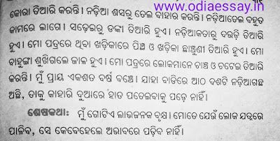 Odia essay picture