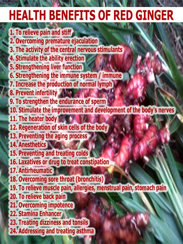 Red Ginger Essential Oil Zingiber Officinale var.Rubra