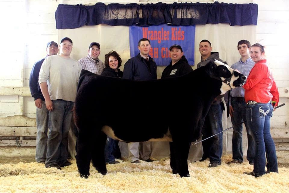 DIAMOND G CATTLE CO.