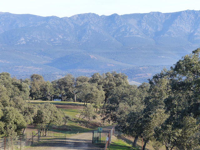 Desde el sendero tendremos unas magníficas vistas de Sierra Madrona .