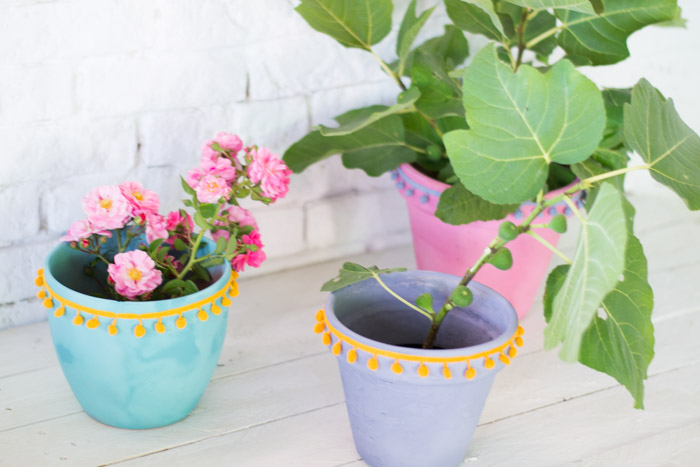 Maceteros con color 