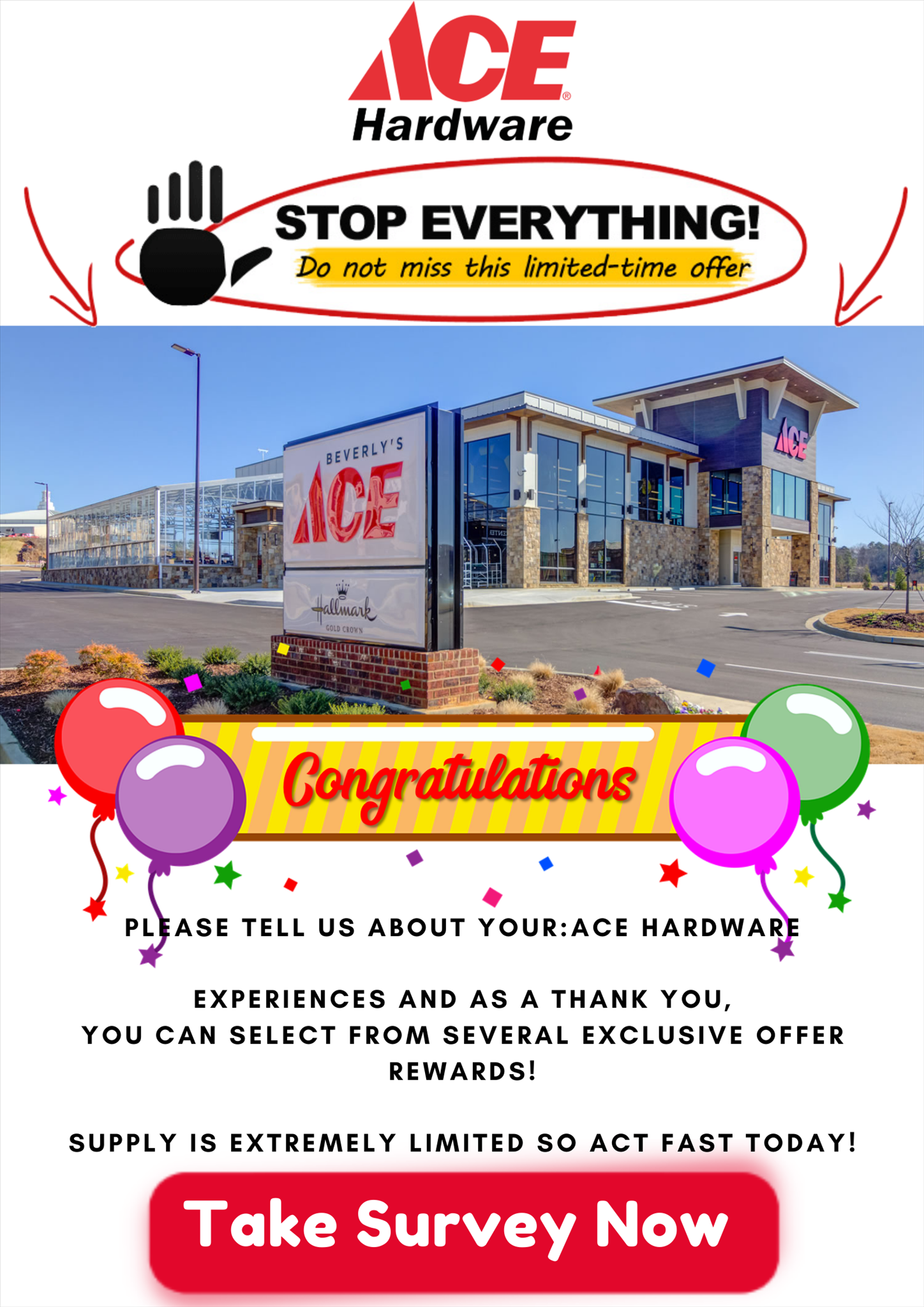 Up to 100 in Exclusive Rewards Provide Your Opinion on Ace Hardware