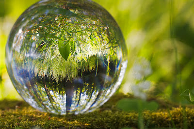 Nature Images Nature Images