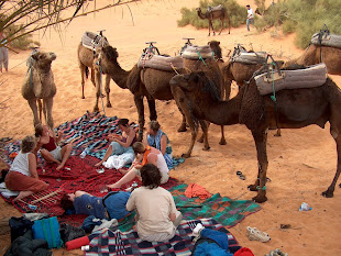 Excursión en Camellos à Merzouga