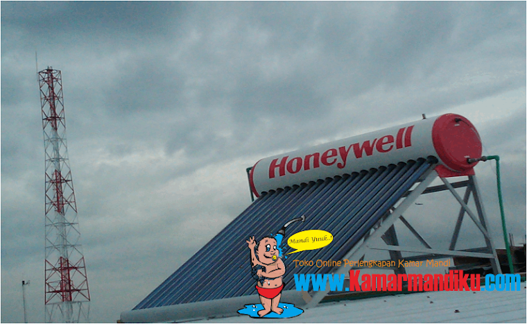 Project Honeywell 1