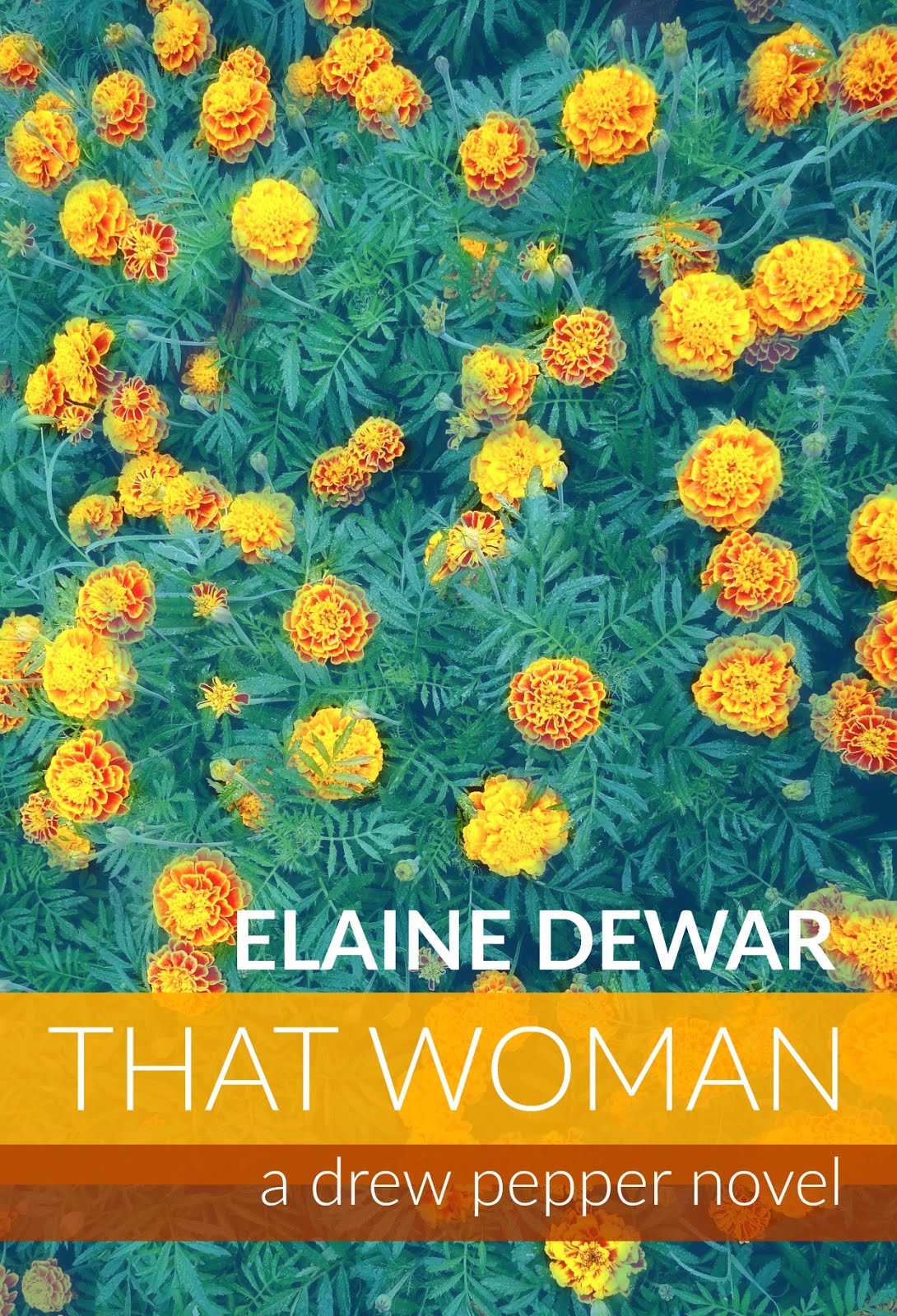 FREE NOVEL: THAT WOMAN