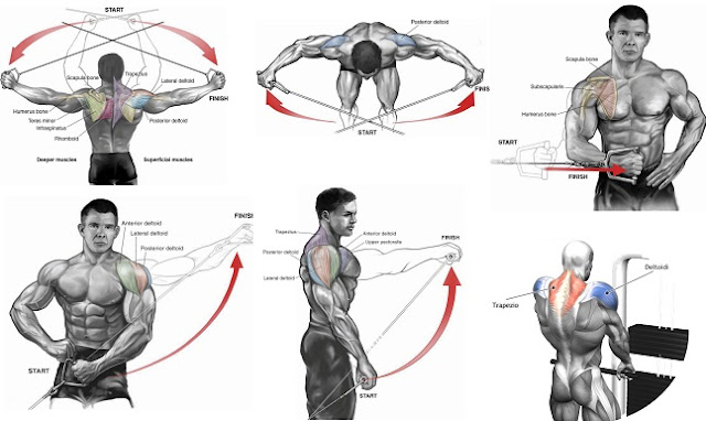 shoulder cable crossover shoulder cable crossover