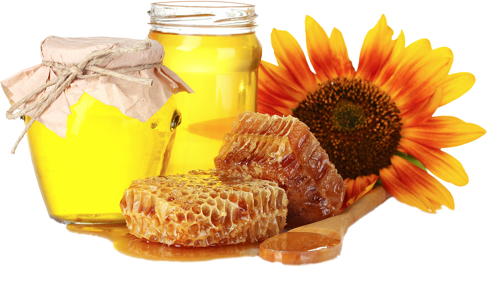 What Causes Honey to Ferment? BizShare
