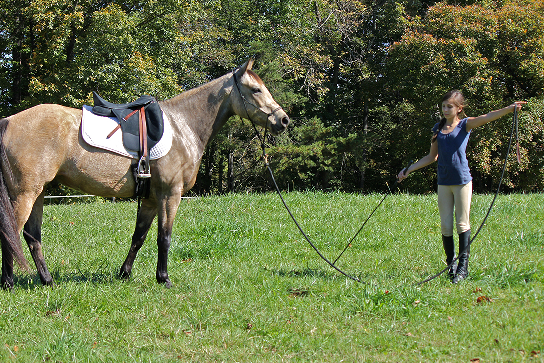 Just Horses Cooler Horsemanship Trail Riding Clinic