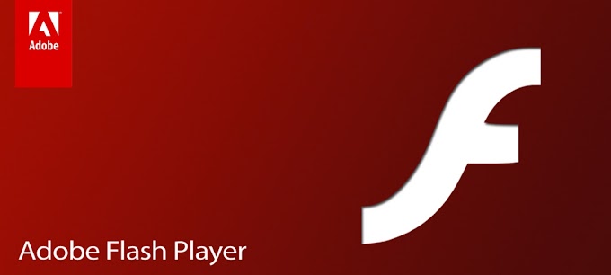 Adobe Flash Player  instalador Offline 