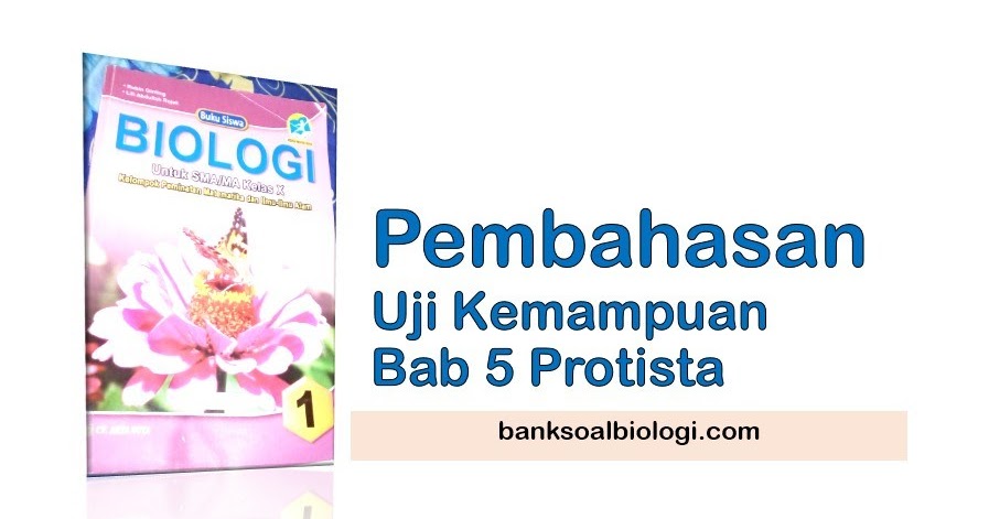 Kumpulan Soal Biologi Protista Sma Kelas 10 Dan Kunci Jawaban Ilmusosial Id Kumpulan Soal Biologi Protista Sma Kelas 10 Dan Kunci Jawaban Ilmusosial Id