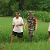 Turun ke Sawah, Babinsa Mojosongo jadi Motivator dan Penyemangat Petani