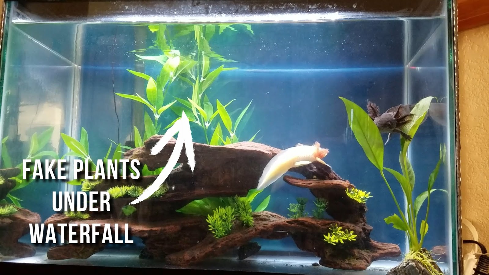 How To Slow The Flow Of Aquarium Filter Aquarium Views