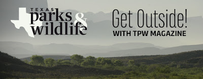 Outdoor Tips from Texas Parks & Wildlife magazine