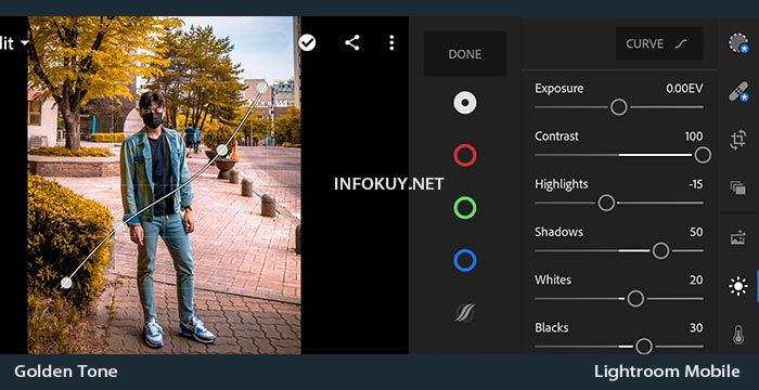 Rumus Lightroom GOLDEN TONE, Efeknya Menarik ! Infokuy Rumus Lightroom GOLDEN TONE, Efeknya Menarik ! Infokuy