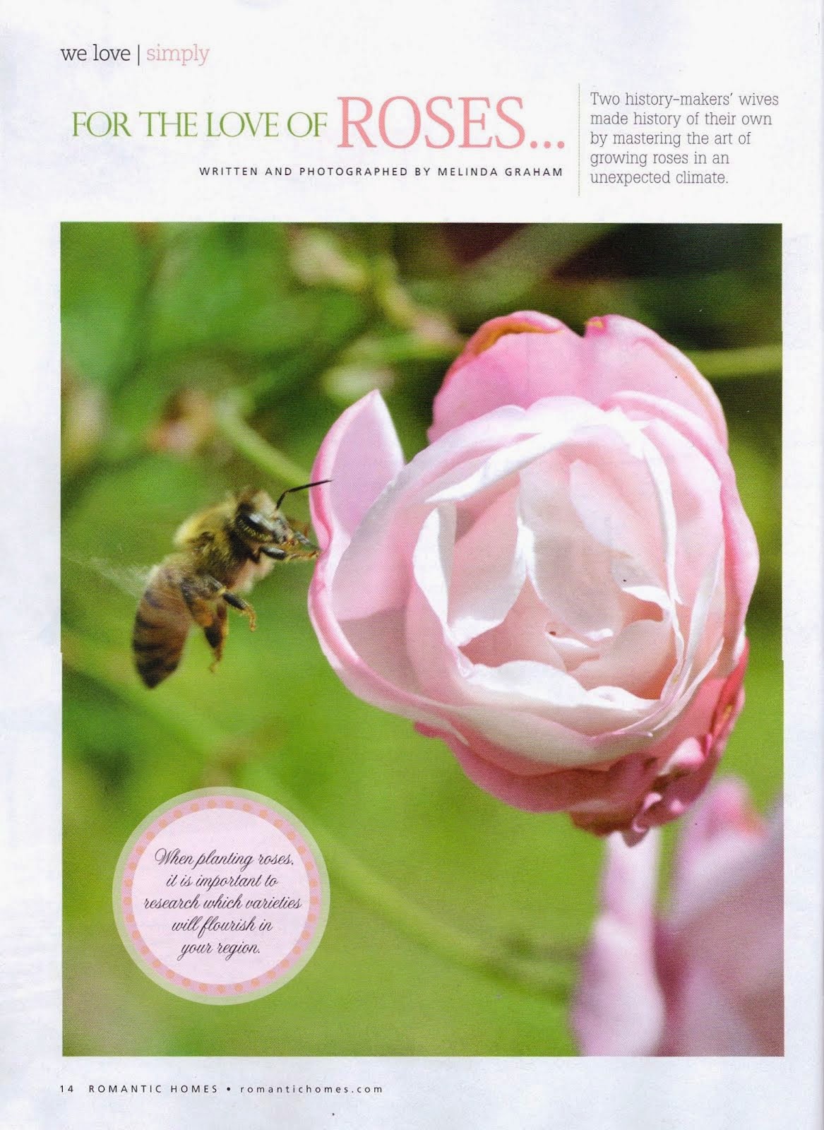 Romantic Homes June 2014