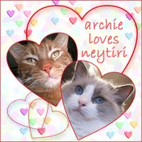 NEYTIRI'S MANCAT ARCHIE