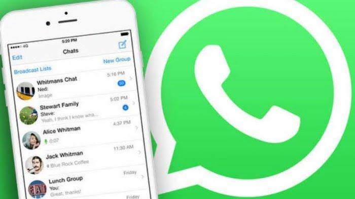 Jasa Whatsapp Kampanye Jasa Whatsapp Kampanye