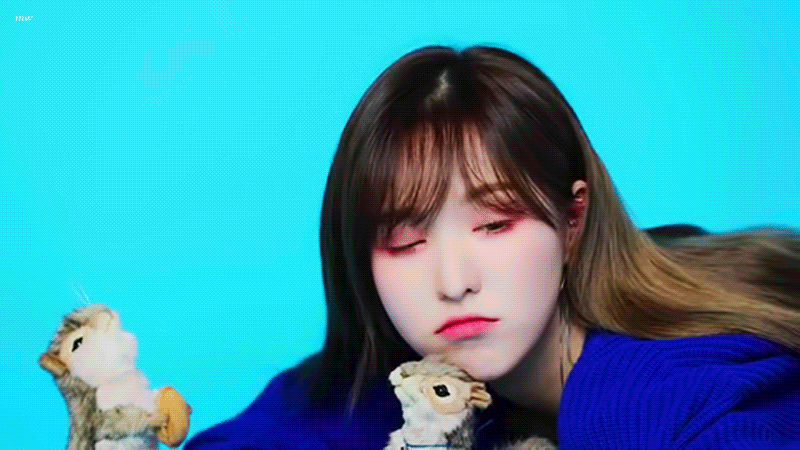 팬들이 환장하는 포인트를 넣은 레드벨벳 시즌그리팅 컨셉.jpgif | 인스티즈