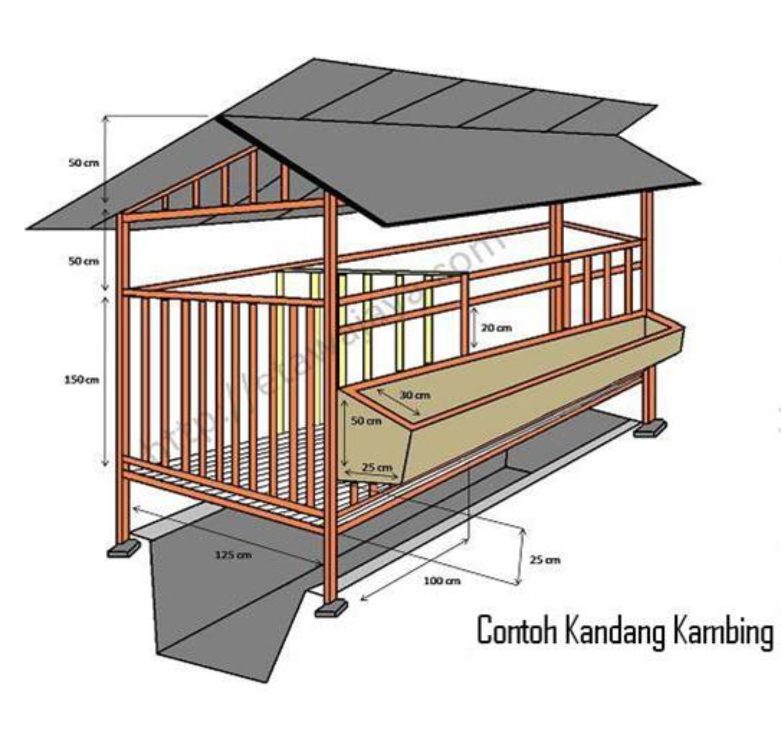 Bahan Ajar Ternak Kambing