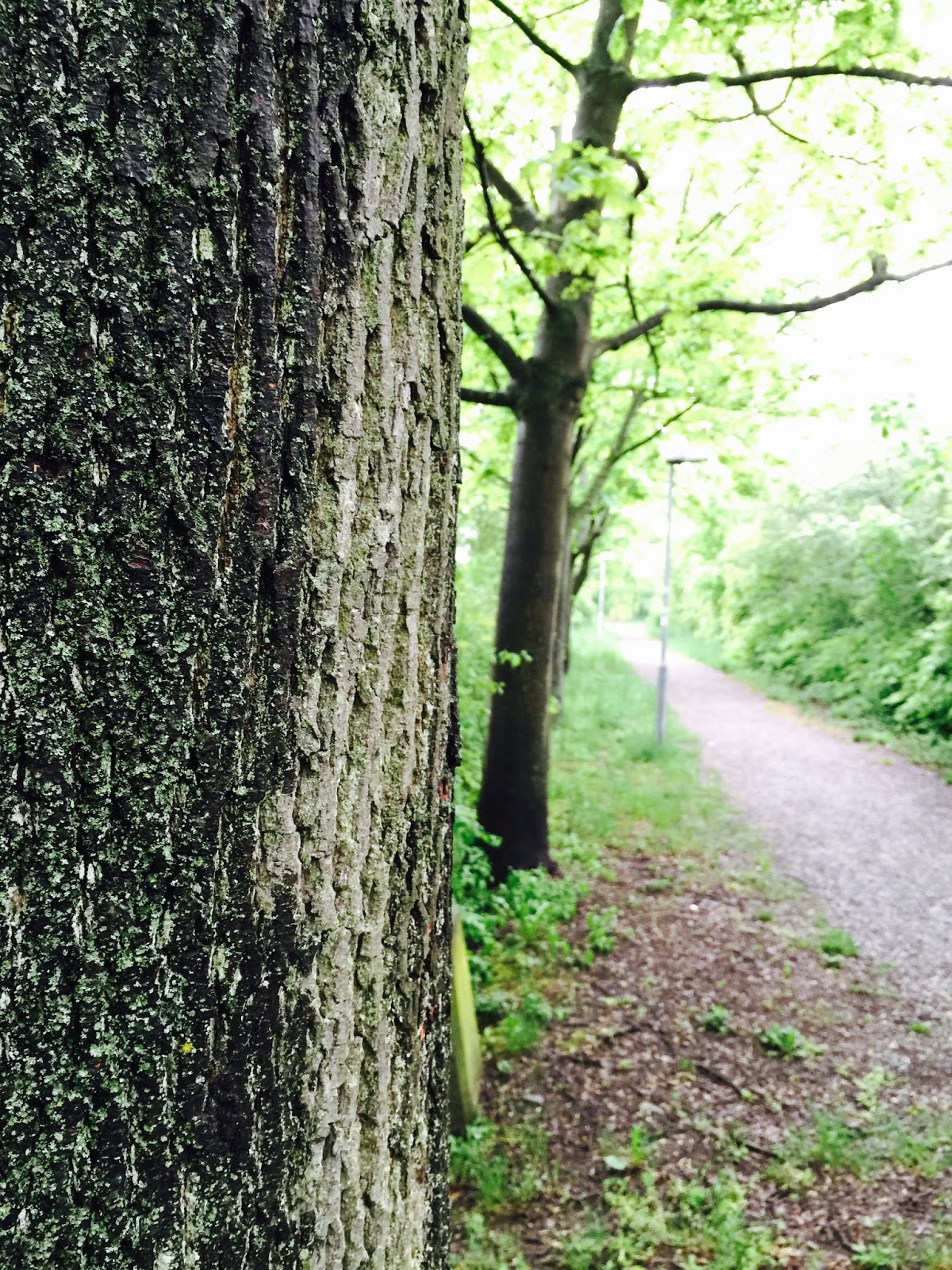 stuttgartcooking: Spargel mit Schinken, einem mediterran angehauchten ... stuttgartcooking: Spargel mit Schinken, einem mediterran angehauchten ...