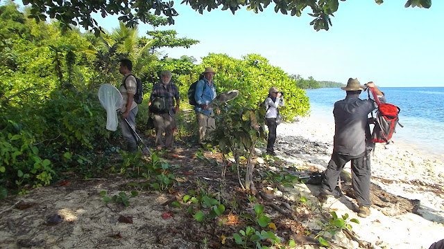  Voyage entomologie au nord de Moluque, Group de Daniel MILAN fevrier 2015