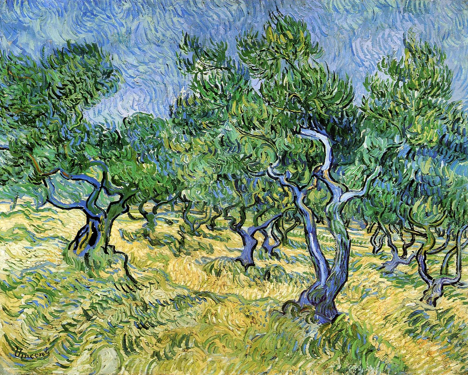 Enjoy Some Damn Fine Art Vincent Van Gogh Olive Grove Olijfgaard