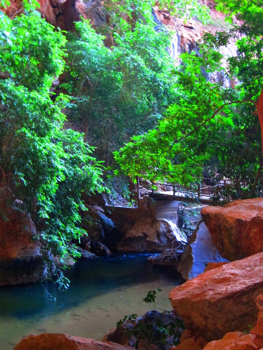 Parque Estadual Terra Ronca Expedição Andando por aí