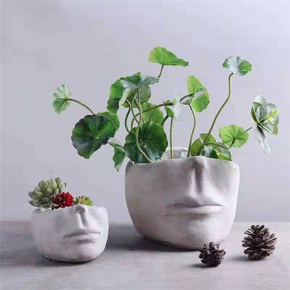 face planters-perfect for your favorite succulent or small plant