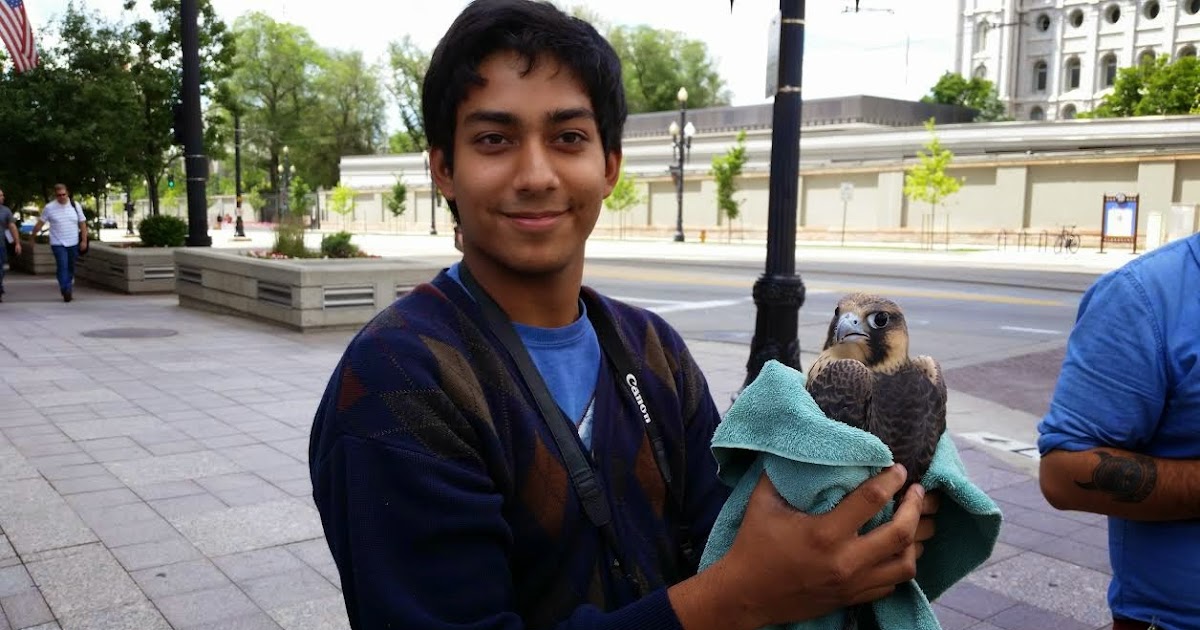 Salt Lake City Falcons Special Photos from Volunteer, Rahul.