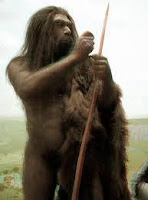 Homo wajakensis