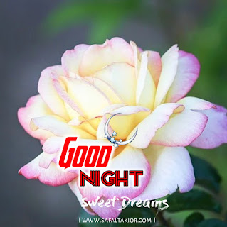 good night rose photos