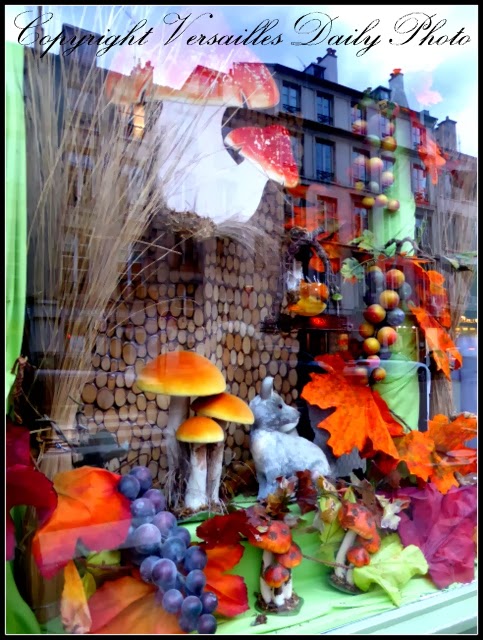 VersaillesDailyPhoto blog: Vitrine automnale