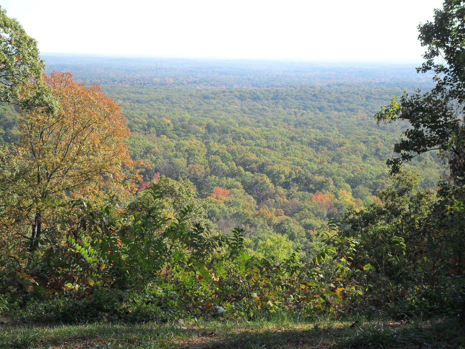 So Many Tunes Henryville Forestry