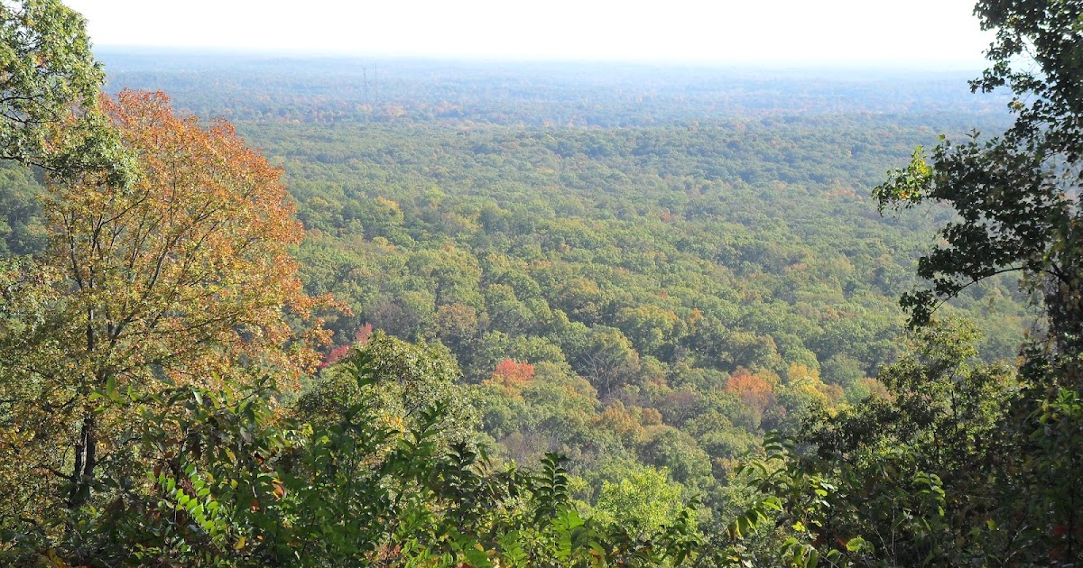So Many Tunes Henryville Forestry